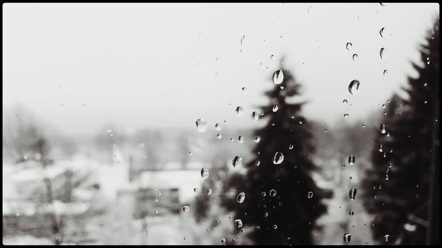 Writer In The Heart Of Exile Writer In The Heart Of Exile