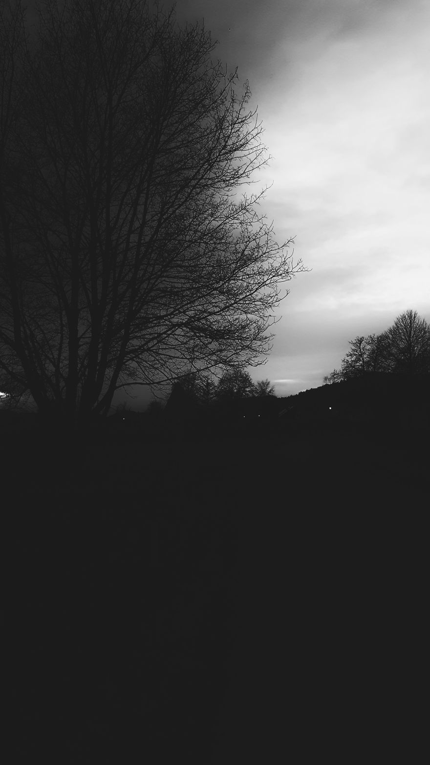 Writer In The Heart Of Exile Writer In The Heart Of Exile