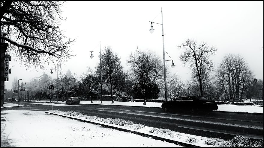 Writer In The Heart Of Exile Writer In The Heart Of Exile