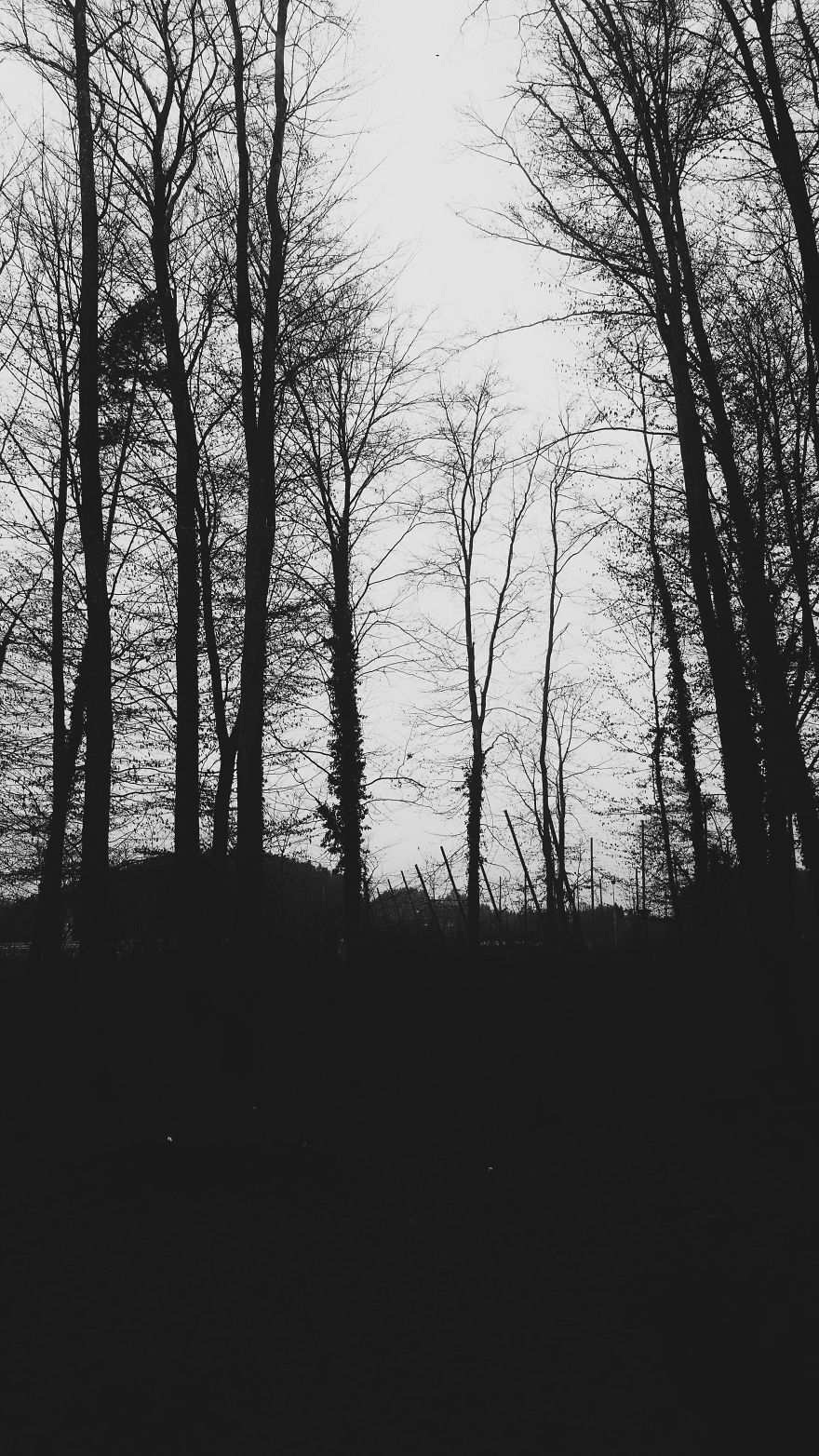 Writer In The Heart Of Exile Writer In The Heart Of Exile