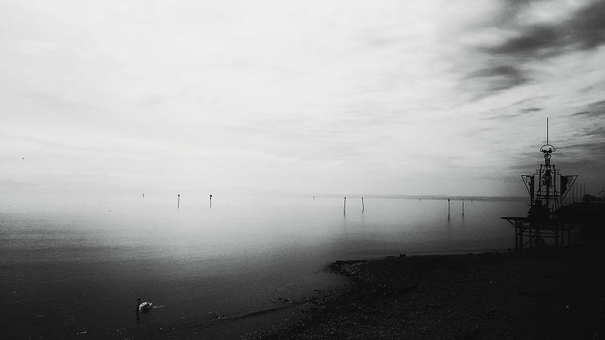 Writer In The Heart Of Exile Writer In The Heart Of Exile