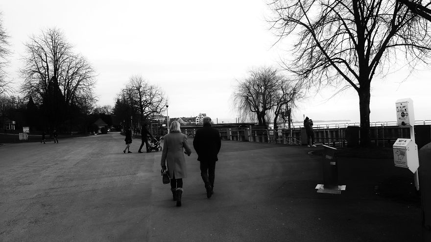 Writer In The Heart Of Exile Writer In The Heart Of Exile