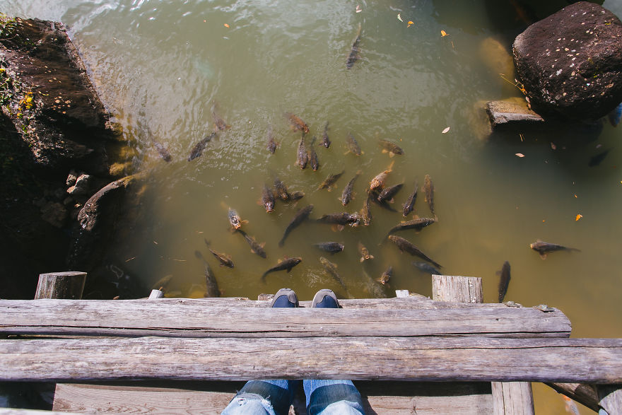 Best Of Japan In 40 Days Best Of Japan In 40 Days