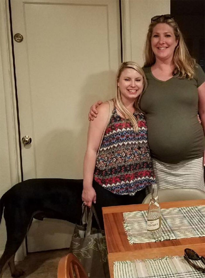 165 Times People Got Seriously Confused By Accidental Optical Illusions In Everyday Things 165 Times People Got Seriously Confused By Accidental Optical Illusions In Everyday Things