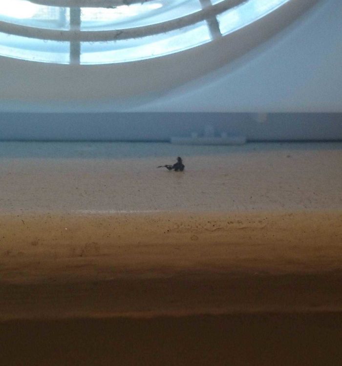 165 Times People Got Seriously Confused By Accidental Optical Illusions In Everyday Things 165 Times People Got Seriously Confused By Accidental Optical Illusions In Everyday Things