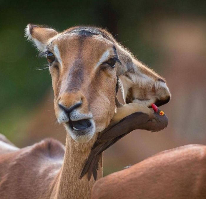 165 Times People Got Seriously Confused By Accidental Optical Illusions In Everyday Things 165 Times People Got Seriously Confused By Accidental Optical Illusions In Everyday Things