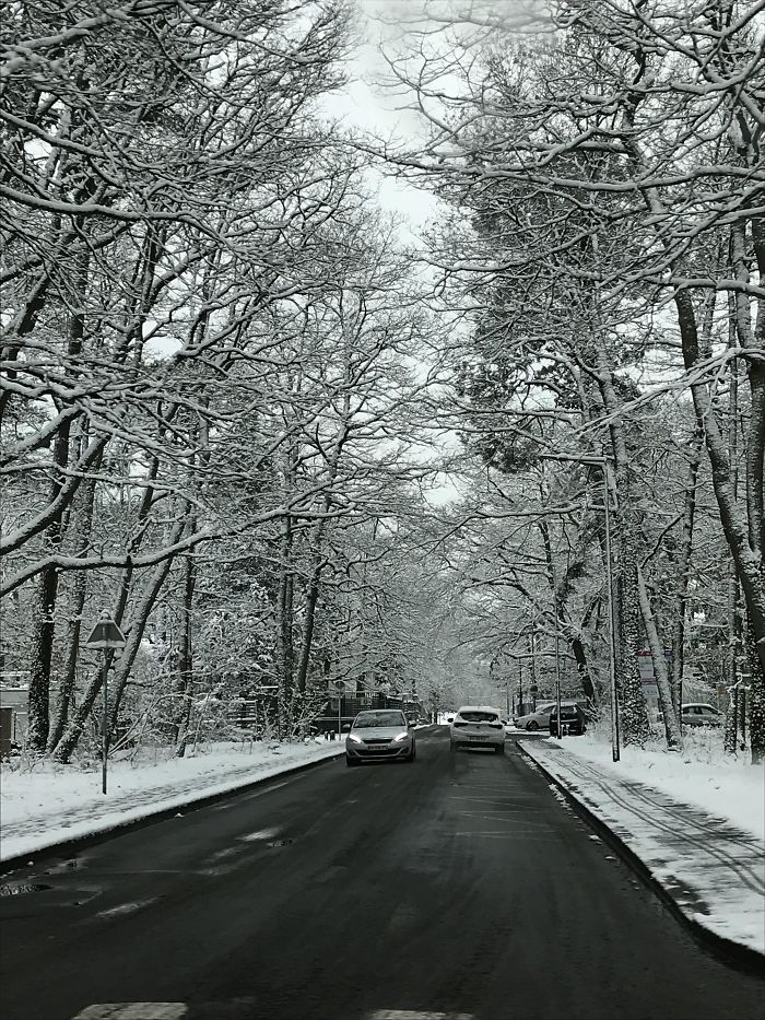 165 Times People Got Seriously Confused By Accidental Optical Illusions In Everyday Things 165 Times People Got Seriously Confused By Accidental Optical Illusions In Everyday Things