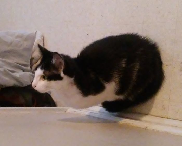 165 Times People Got Seriously Confused By Accidental Optical Illusions In Everyday Things 165 Times People Got Seriously Confused By Accidental Optical Illusions In Everyday Things