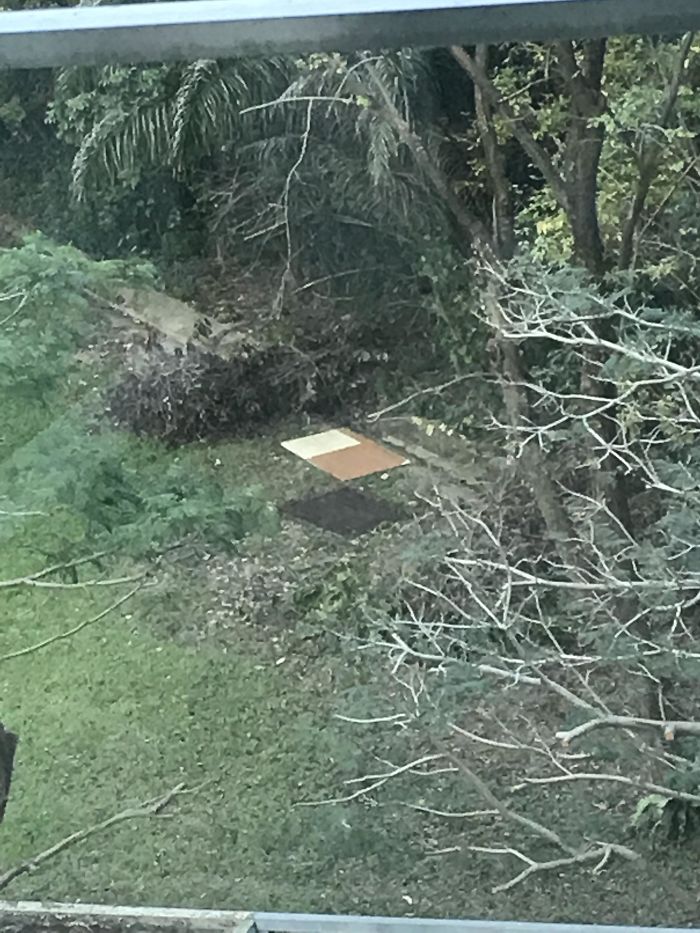 165 Times People Got Seriously Confused By Accidental Optical Illusions In Everyday Things 165 Times People Got Seriously Confused By Accidental Optical Illusions In Everyday Things