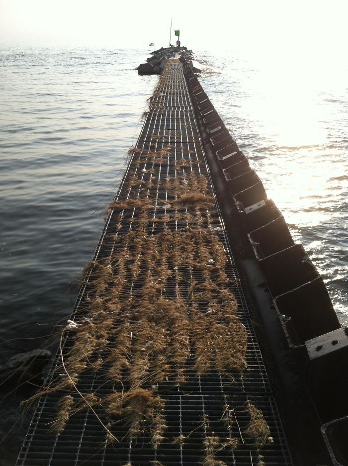 165 Times People Got Seriously Confused By Accidental Optical Illusions In Everyday Things 165 Times People Got Seriously Confused By Accidental Optical Illusions In Everyday Things