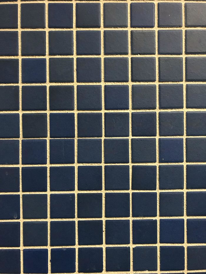 165 Times People Got Seriously Confused By Accidental Optical Illusions In Everyday Things 165 Times People Got Seriously Confused By Accidental Optical Illusions In Everyday Things