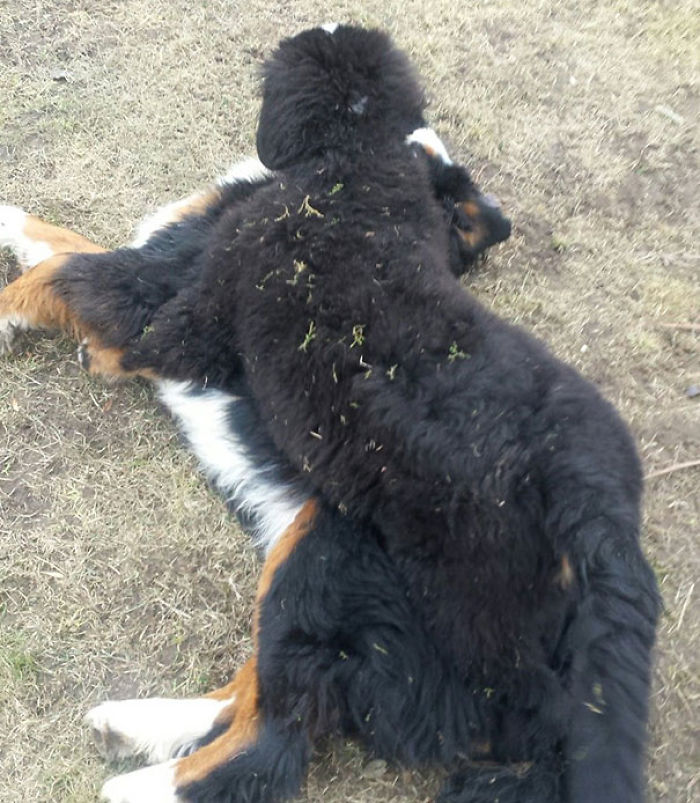 165 Times People Got Seriously Confused By Accidental Optical Illusions In Everyday Things 165 Times People Got Seriously Confused By Accidental Optical Illusions In Everyday Things