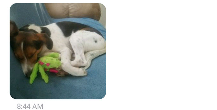 Woman Texts Boss That She’s Going To Be Late For Work, And He Has Best Response Ever Woman Texts Boss That She’s Going To Be Late For Work, And He Has Best Response Ever