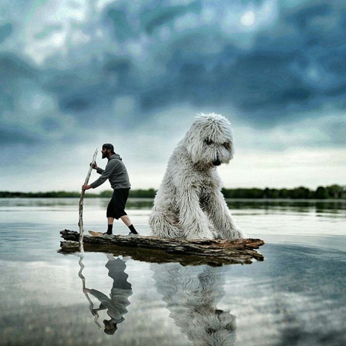 Photographer Creates Amusing PS Manipulations Featuring His Giant Dog Photographer Creates Amusing PS Manipulations Featuring His Giant Dog