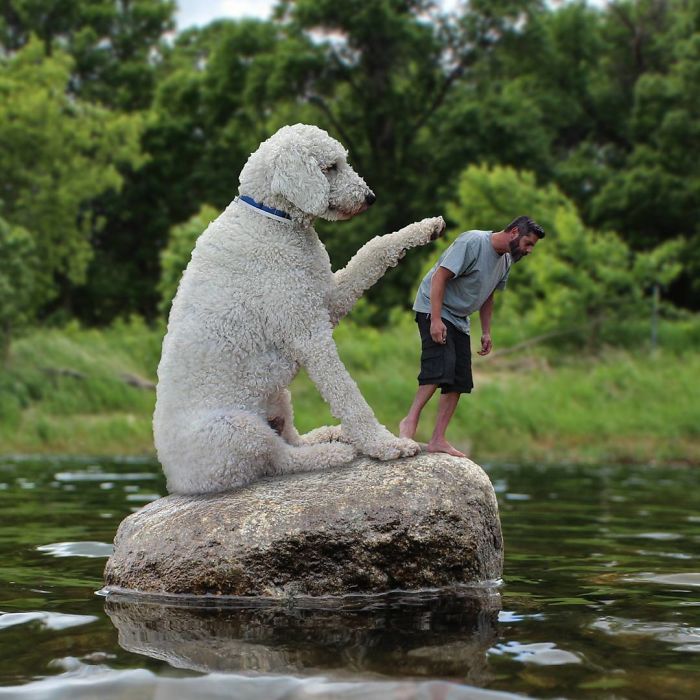 Photographer Creates Amusing PS Manipulations Featuring His Giant Dog Photographer Creates Amusing PS Manipulations Featuring His Giant Dog
