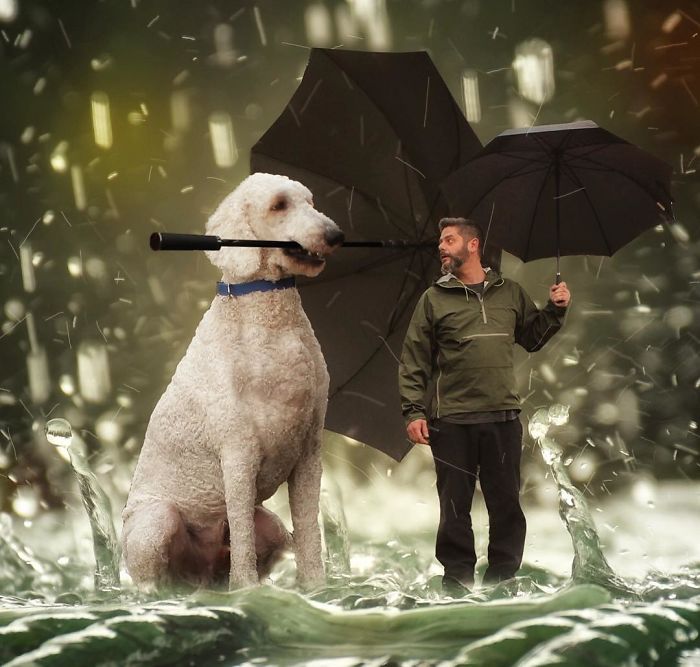 Photographer Creates Amusing PS Manipulations Featuring His Giant Dog Photographer Creates Amusing PS Manipulations Featuring His Giant Dog