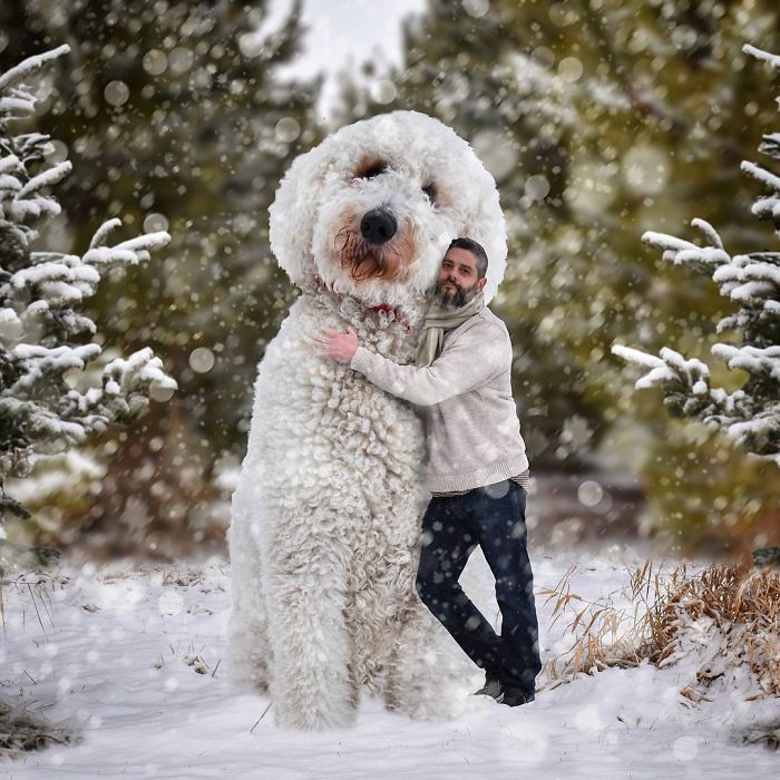 Photographer Creates Amusing PS Manipulations Featuring His Giant Dog Photographer Creates Amusing PS Manipulations Featuring His Giant Dog
