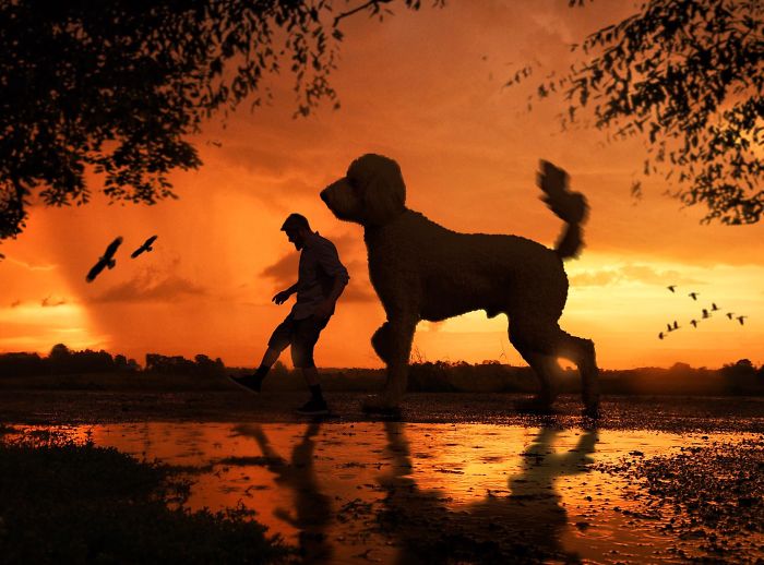 Photographer Creates Amusing PS Manipulations Featuring His Giant Dog Photographer Creates Amusing PS Manipulations Featuring His Giant Dog