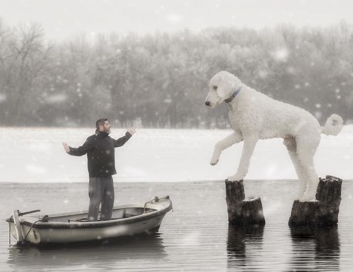 Photographer Creates Amusing PS Manipulations Featuring His Giant Dog Photographer Creates Amusing PS Manipulations Featuring His Giant Dog