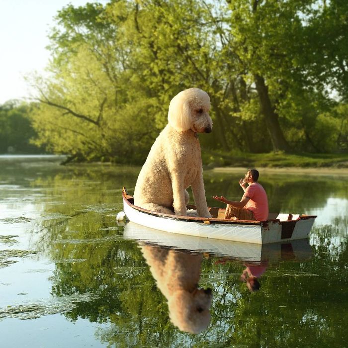 Photographer Creates Amusing PS Manipulations Featuring His Giant Dog Photographer Creates Amusing PS Manipulations Featuring His Giant Dog