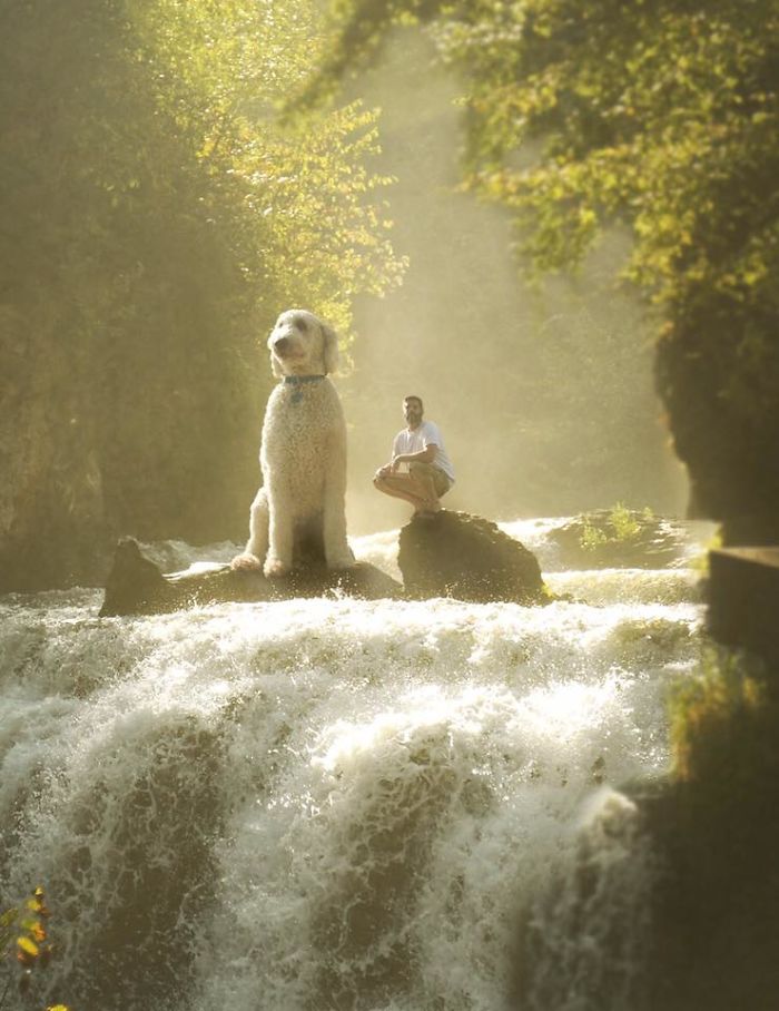 Photographer Creates Amusing PS Manipulations Featuring His Giant Dog Photographer Creates Amusing PS Manipulations Featuring His Giant Dog