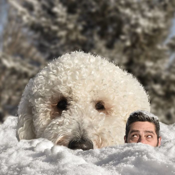 Photographer Creates Amusing PS Manipulations Featuring His Giant Dog Photographer Creates Amusing PS Manipulations Featuring His Giant Dog