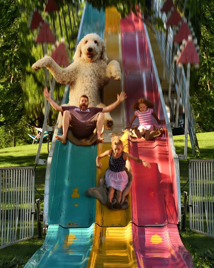 Photographer Creates Amusing PS Manipulations Featuring His Giant Dog Photographer Creates Amusing PS Manipulations Featuring His Giant Dog