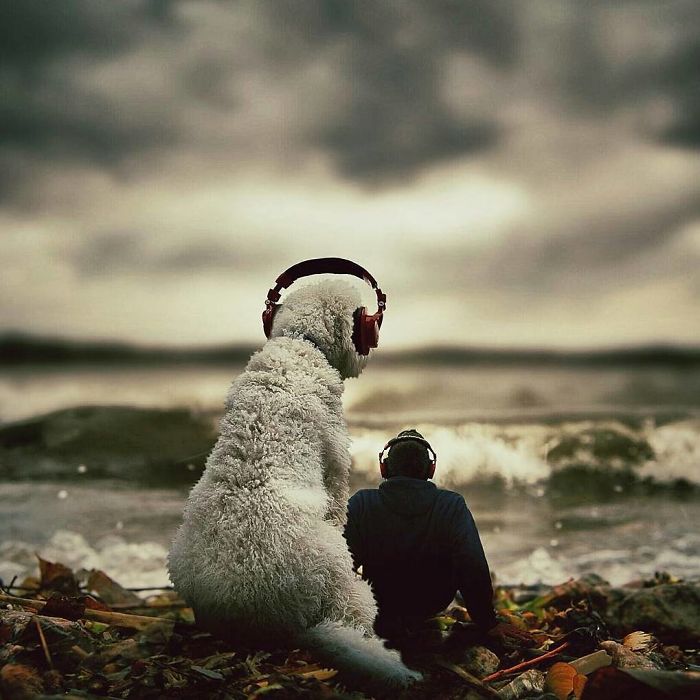 Photographer Creates Amusing PS Manipulations Featuring His Giant Dog Photographer Creates Amusing PS Manipulations Featuring His Giant Dog