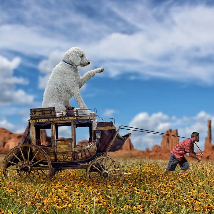 Photographer Creates Amusing PS Manipulations Featuring His Giant Dog Photographer Creates Amusing PS Manipulations Featuring His Giant Dog