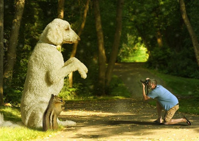 Photographer Creates Amusing PS Manipulations Featuring His Giant Dog Photographer Creates Amusing PS Manipulations Featuring His Giant Dog