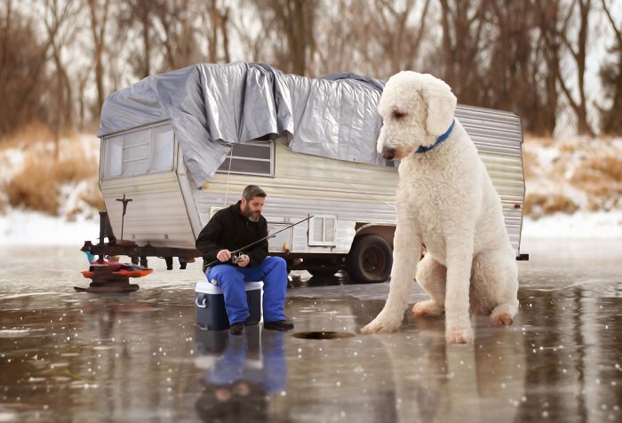 Photographer Creates Amusing PS Manipulations Featuring His Giant Dog Photographer Creates Amusing PS Manipulations Featuring His Giant Dog