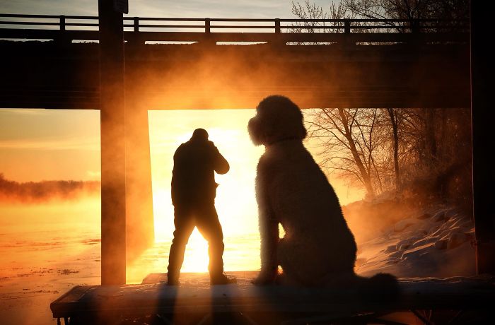 Photographer Creates Amusing PS Manipulations Featuring His Giant Dog Photographer Creates Amusing PS Manipulations Featuring His Giant Dog