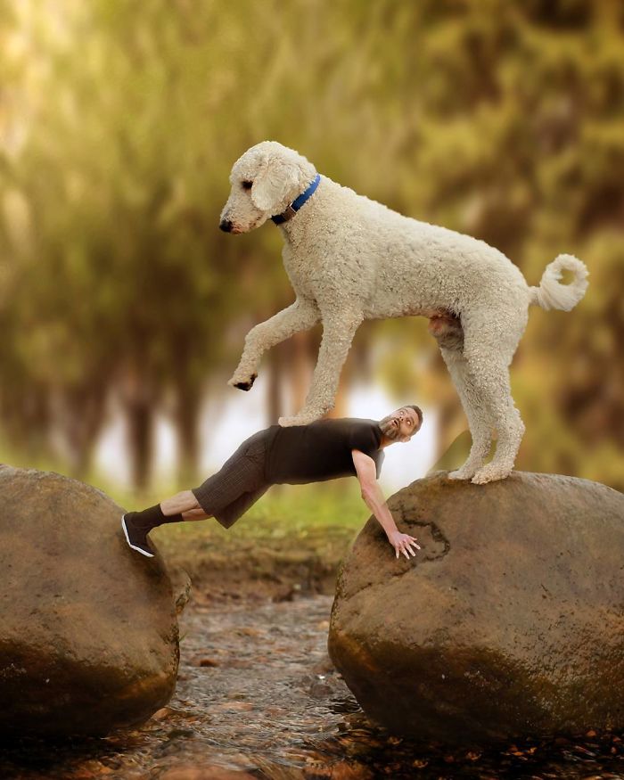 Photographer Creates Amusing PS Manipulations Featuring His Giant Dog Photographer Creates Amusing PS Manipulations Featuring His Giant Dog