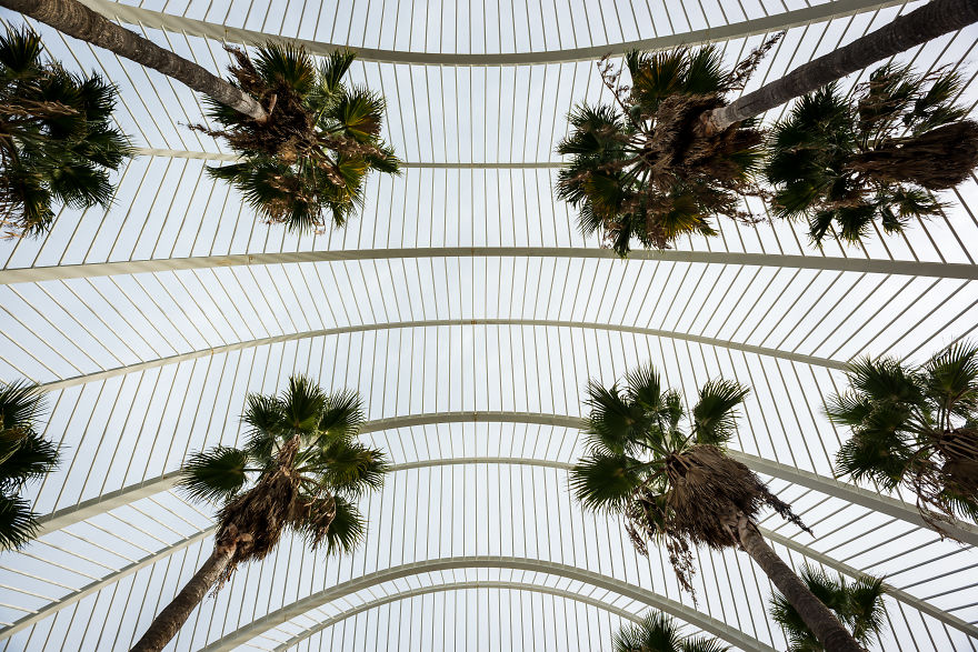 Alien Architecture: I Captured The Beauty Of The City Of Arts And Sciences Of Valencia