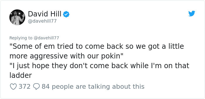 Guy Pays $800 To Get 40+ Bats Out Of His Attic, Doesn’t Expect Contractors To Do This Guy Pays $800 To Get 40+ Bats Out Of His Attic, Doesn’t Expect Contractors To Do This