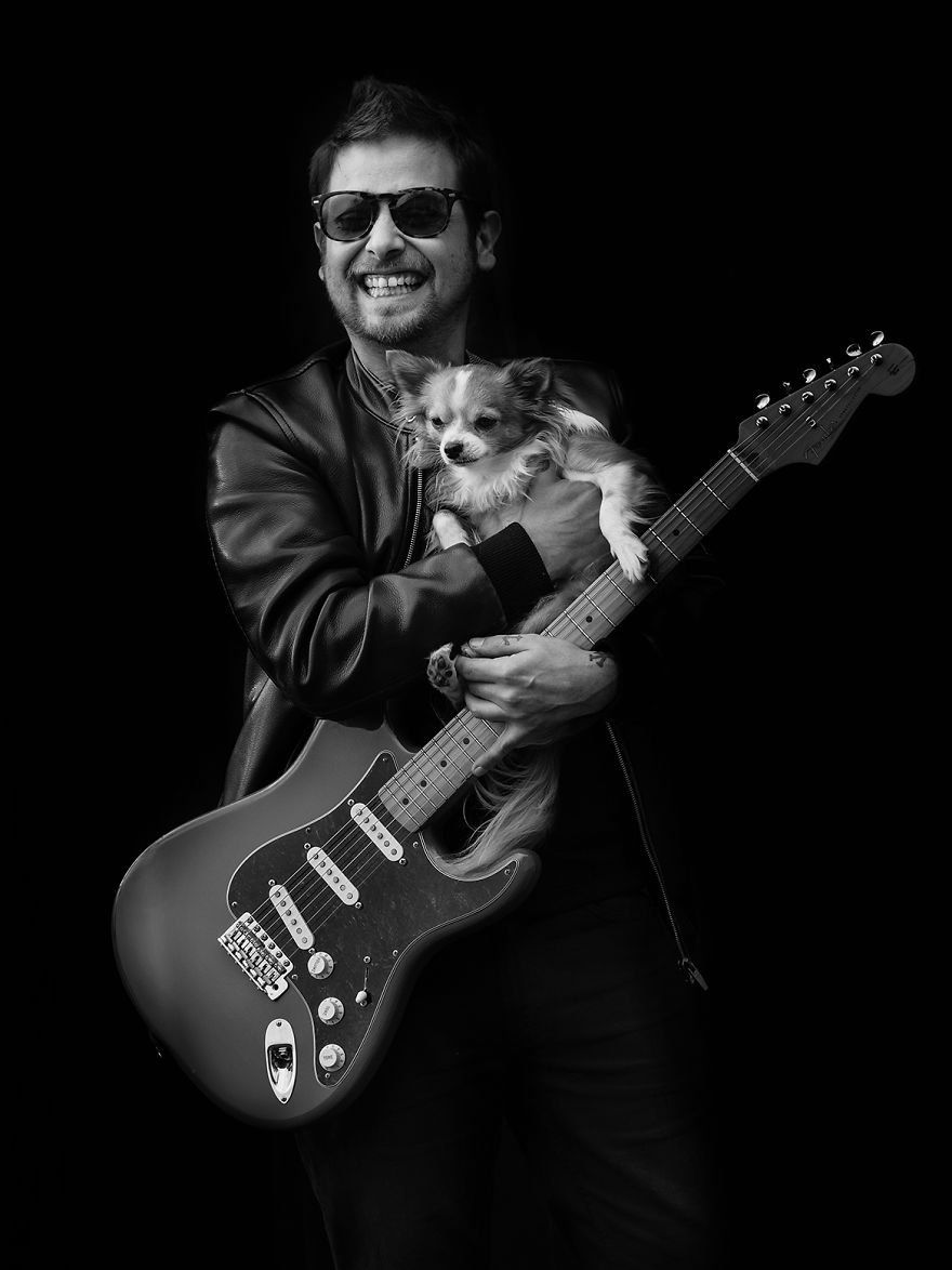 Pets In Music