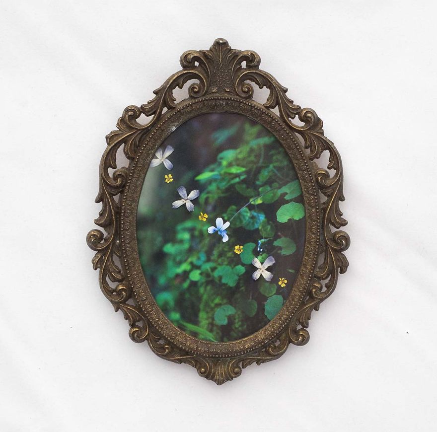 I&#8217;m Obsessed With Adding Real Pressed Flowers To My Photographs And Then Preserving Them In Vintage Frames