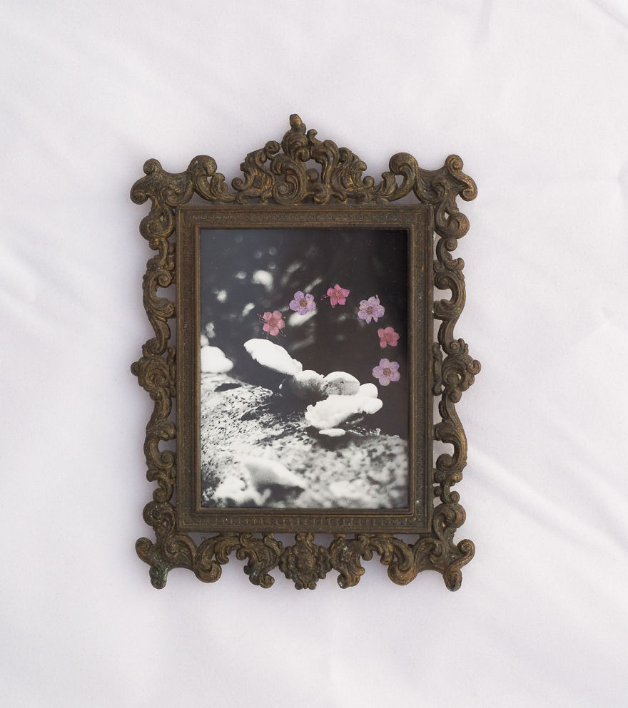 I&#8217;m Obsessed With Adding Real Pressed Flowers To My Photographs And Then Preserving Them In Vintage Frames