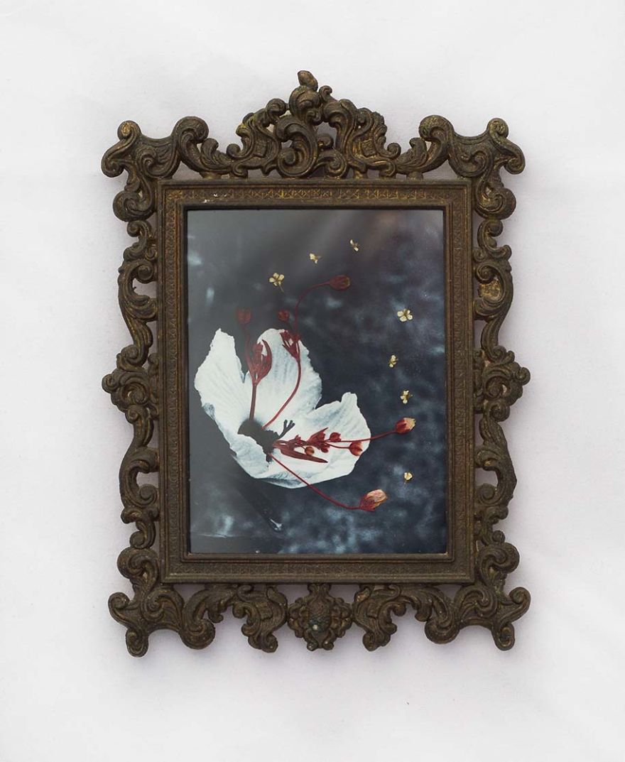 I&#8217;m Obsessed With Adding Real Pressed Flowers To My Photographs And Then Preserving Them In Vintage Frames