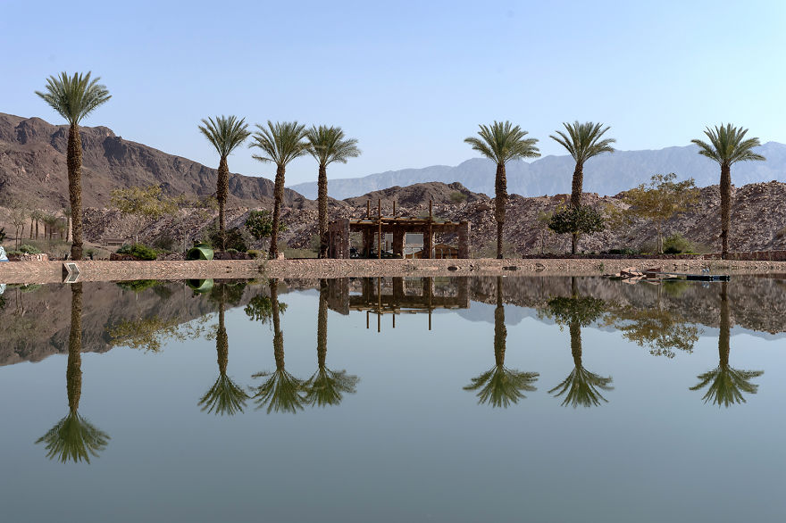 The Unique Desert Landscape The Unique Desert Landscape