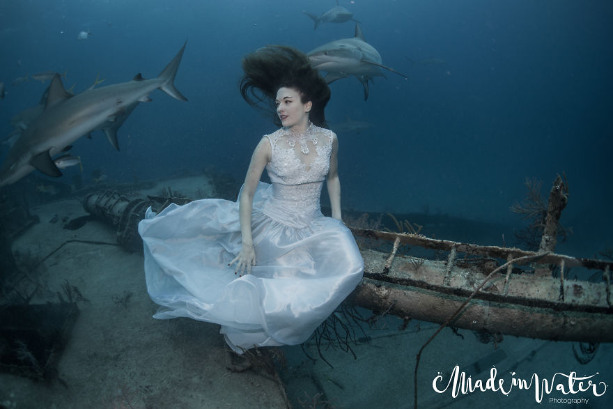 A Mermaid Swimming To Save Sharks