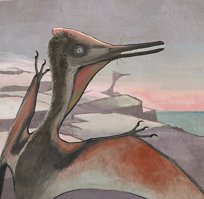 This Artist Depicts How Dinosaurs Actually Looked Like, And The Result Might Surprise You