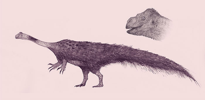 This Artist Depicts How Dinosaurs Actually Looked Like, And The Result Might Surprise You