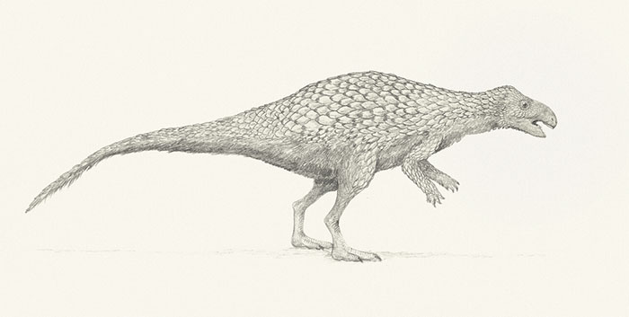 This Artist Depicts How Dinosaurs Actually Looked Like, And The Result Might Surprise You