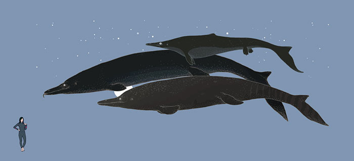 This Artist Depicts How Dinosaurs Actually Looked Like, And The Result Might Surprise You