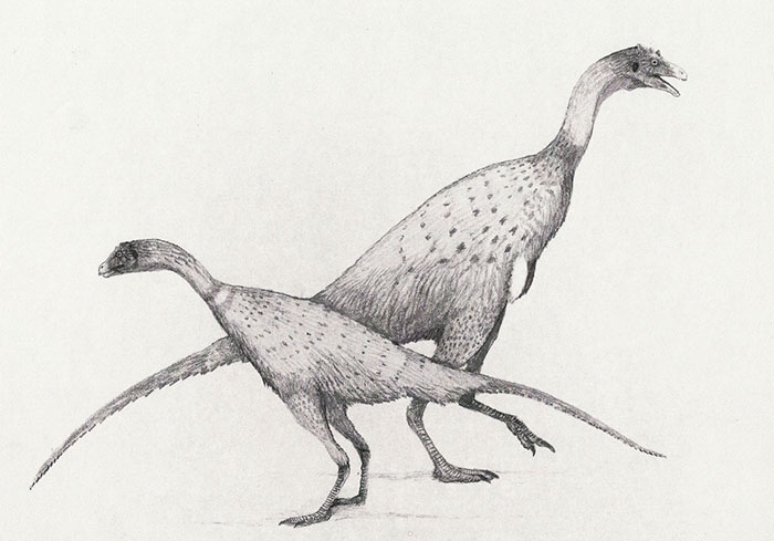 This Artist Depicts How Dinosaurs Actually Looked Like, And The Result Might Surprise You