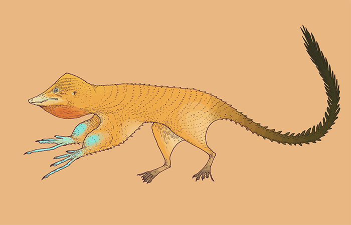 This Artist Depicts How Dinosaurs Actually Looked Like, And The Result Might Surprise You