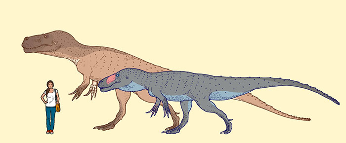This Artist Depicts How Dinosaurs Actually Looked Like, And The Result Might Surprise You