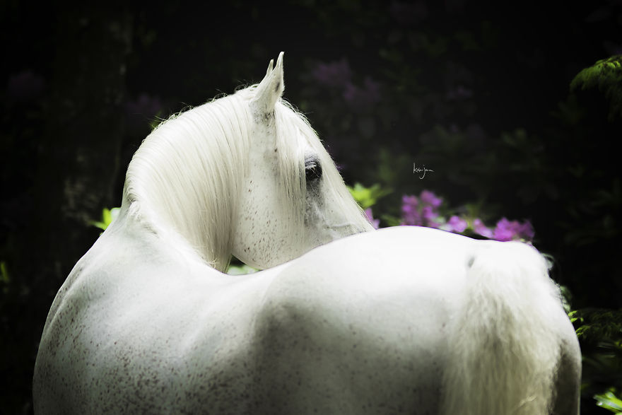 Bringing My Childhood Dreams To Life Bringing My Childhood Dreams To Life