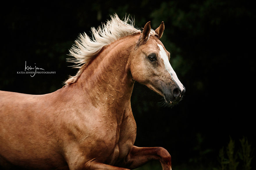 Bringing My Childhood Dreams To Life Bringing My Childhood Dreams To Life